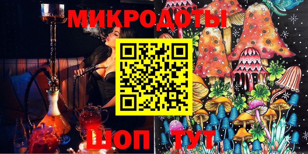 Псилоцибиновые грибы Psilocybe  Вход с VPN  Кандалакша 